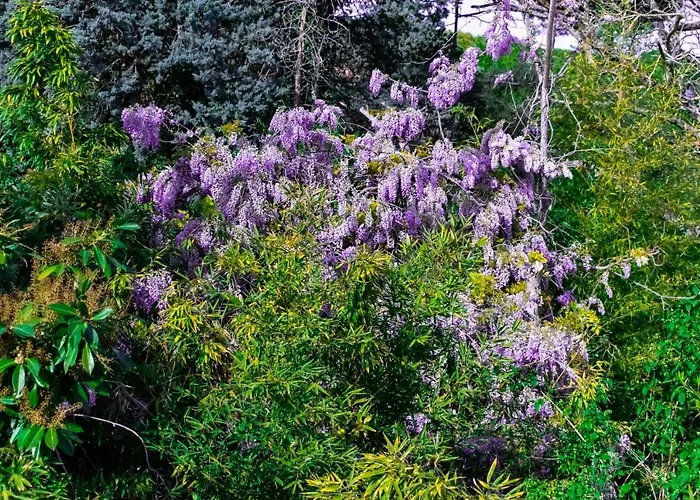 Al Hotel Castiglione del Lago